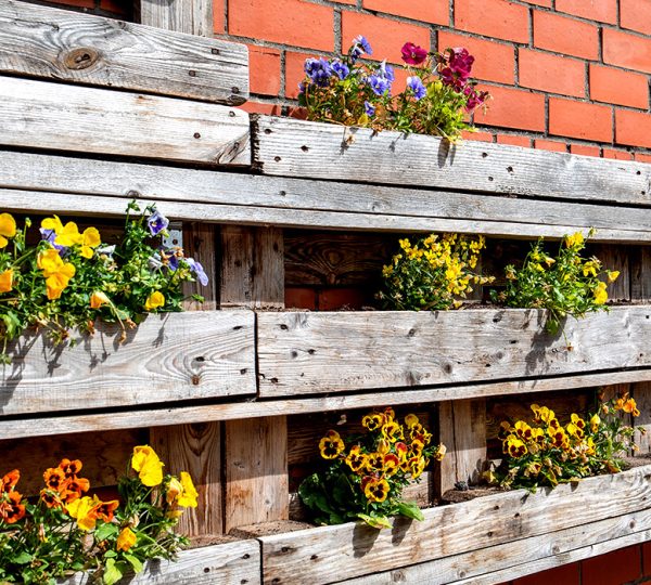 DIY Projects